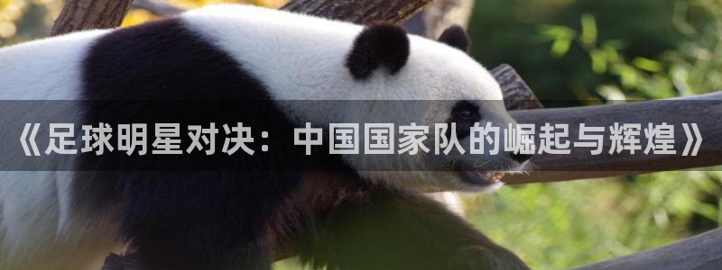 《足球明星对决：中国国家队的崛起与辉煌》