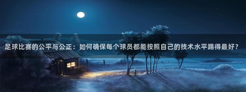 足球比赛的公平与公正：如何确保每个球员都能按照自己的技术水平