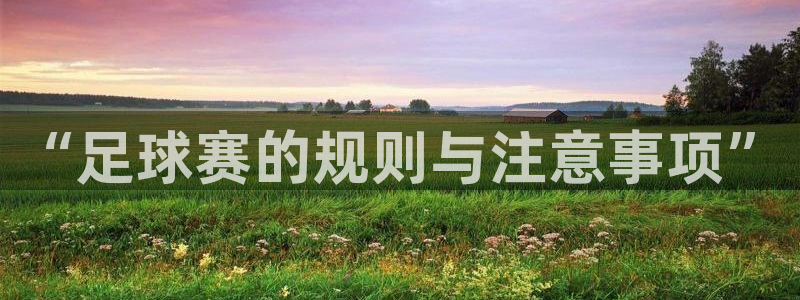  “足球赛的规则与注意事项”