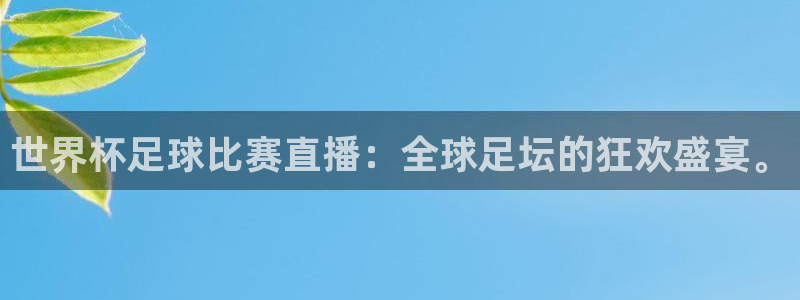 世界杯足球比赛直播：全球足坛的狂欢盛宴。