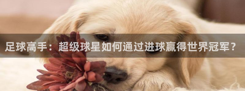 足球高手：超级球星如何通过进球赢得世界冠军？