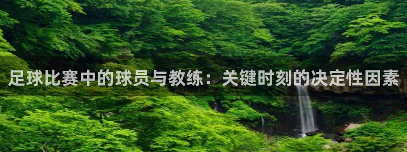足球比赛中的球员与教练：关键时刻的决定性因素