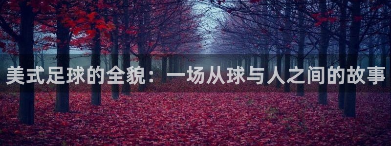 美式足球的全貌：一场从球与人之间的故事
