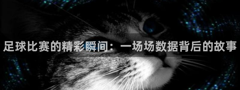  足球比赛的精彩瞬间：一场场数据背后的故事