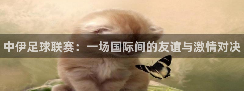 中伊足球联赛：一场国际间的友谊与激情