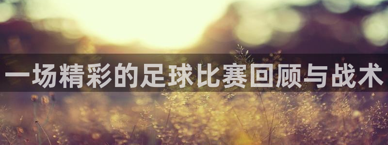 一场精彩的足球比赛回顾与战术