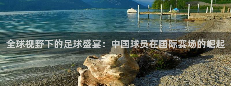 全球视野下的足球盛宴：中国球员在国际