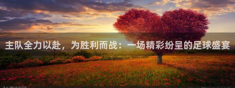  主队全力以赴，为胜利而战：一场精彩纷呈的足球盛宴