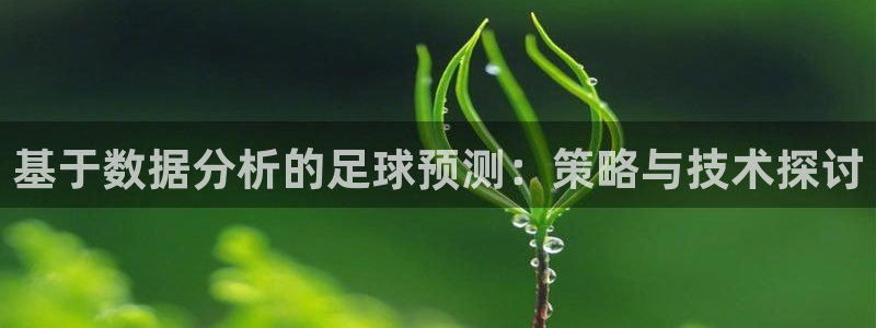 基于数据分析的足球预测：策略与技术探讨
