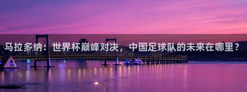 马拉多纳：世界杯巅峰对决，中国足球队的未来在哪里？
