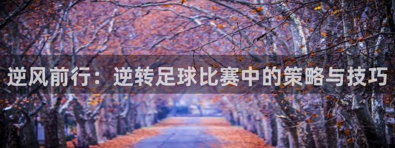 逆风前行：逆转足球比赛中的策略与技巧