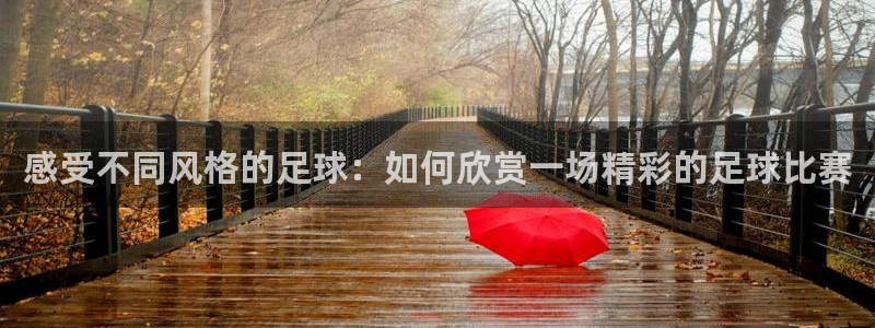 感受不同风格的足球：如何欣赏一场精彩