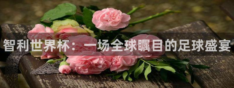 智利世界杯：一场全球瞩目的足球盛宴