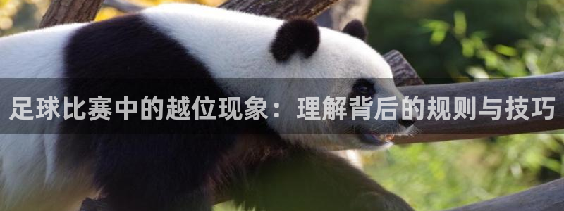  足球比赛中的越位现象：理解背后的规则与技巧