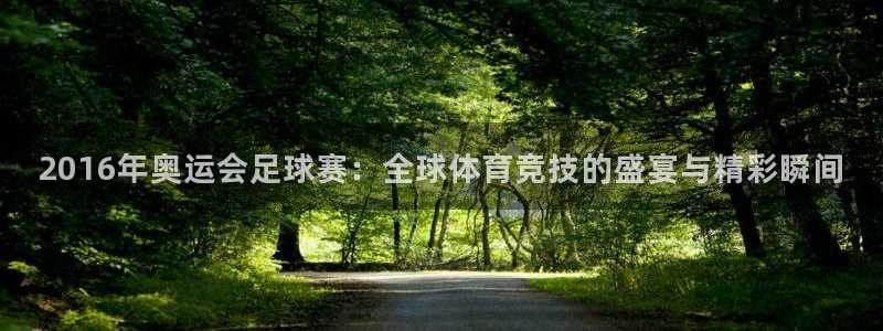 2016年奥运会足球赛：全球体育竞技的盛宴与精彩瞬间