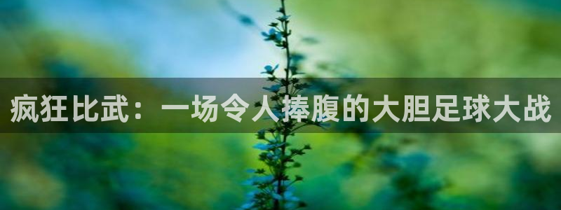  疯狂比武：一场令人捧腹的大胆足球大战