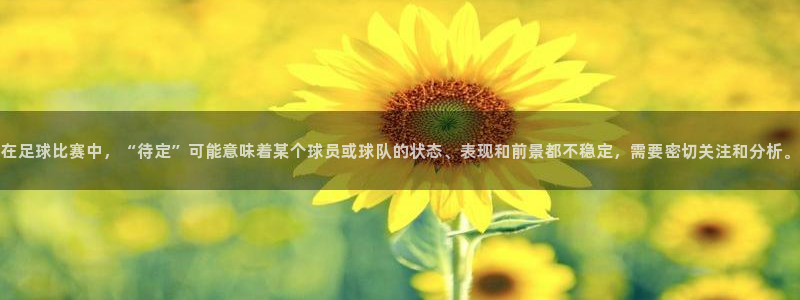  在足球比赛中，“待定”可能意味着某个球员或球队的状态、表现和