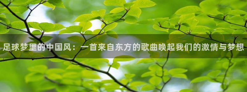 足球梦里的中国风：一首来自东方的歌曲唤起我们的激情与梦想