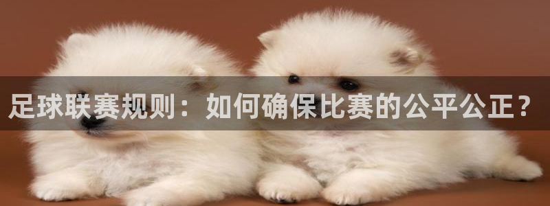  足球联赛规则：如何确保比赛的公平公正？