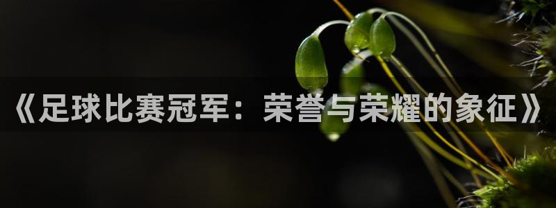  《足球比赛冠军：荣誉与荣耀的象征》