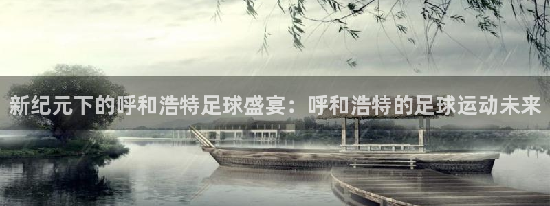 新纪元下的呼和浩特足球盛宴：呼和浩特的足球运动未来