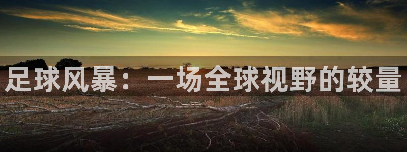 足球风暴：一场全球视野的较量