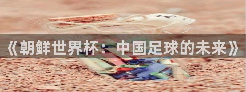  《朝鲜世界杯：中国足球的未来》