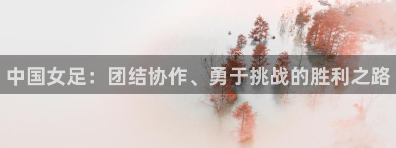  中国女足：团结协作、勇于挑战的胜利之路