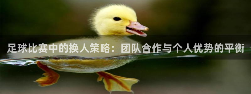  足球比赛中的换人策略：团队合作与个人优势的平衡