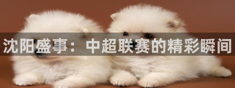 沈阳盛事：中超联赛的精彩瞬间