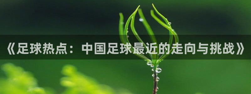  《足球热点：中国足球最近的走向与挑战》