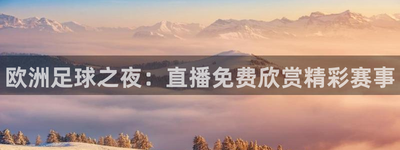 188看球直播：欧洲足球之夜：直播免费欣赏精彩赛事