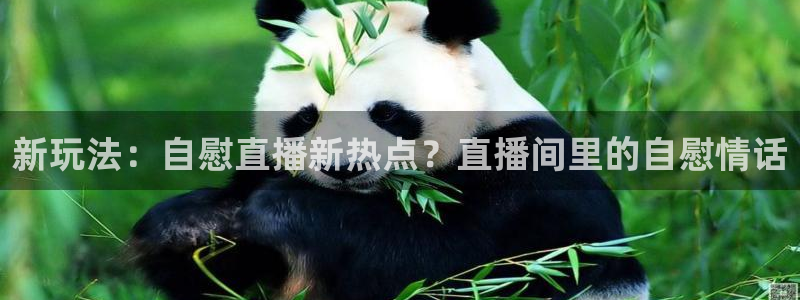 88看球nba直播吧：新玩法：自慰直播新热点？直播间里的自慰情话