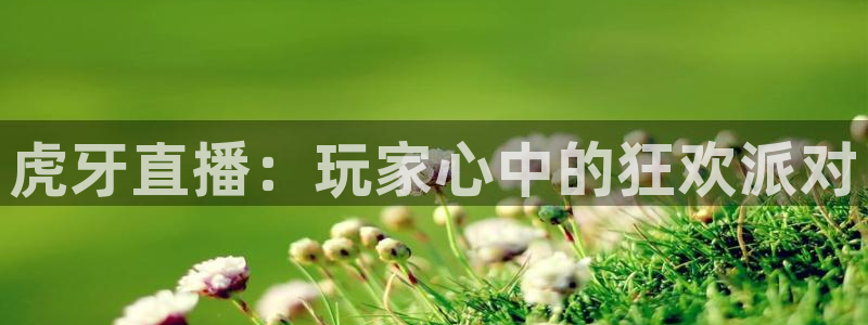 188看球直播官网入口：虎牙直播：玩家心中的狂欢派对