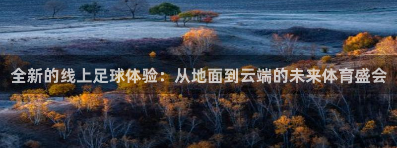 88看球免费直播官网：全新的线上足球体验：从地面到云端的未来体育盛会