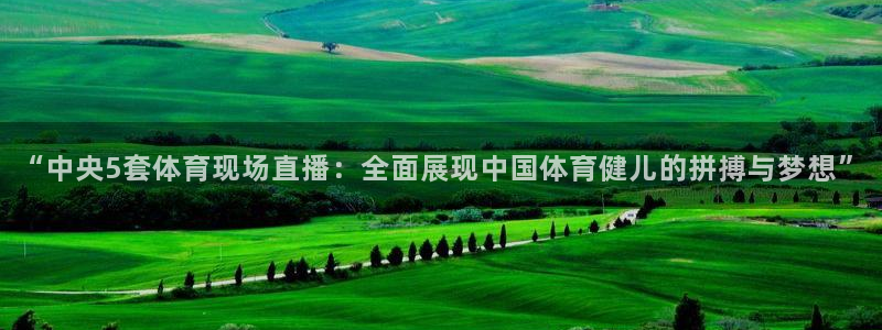88看球nba免费直播官网：“中央5套体育现场直播：全面展现中国体育健儿的拼搏与梦想”