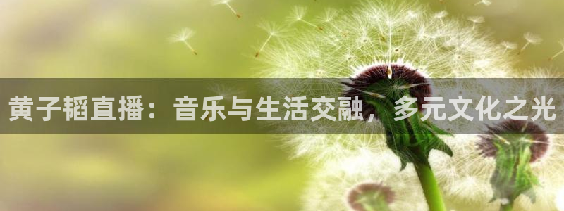 nba直播在线88看球：黄子韬直播：音乐与生活交融，多元文化之光