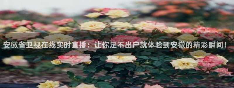 88看球直播无插件nba：安徽省卫视在线实时直播：让你足不出户就体验到安徽的精彩瞬间！