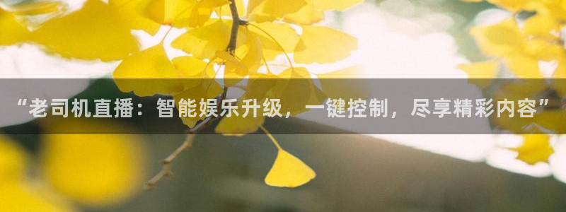 88看球直播官网：“老司机直播：智能娱乐升级，一键控制，尽享精彩内容”