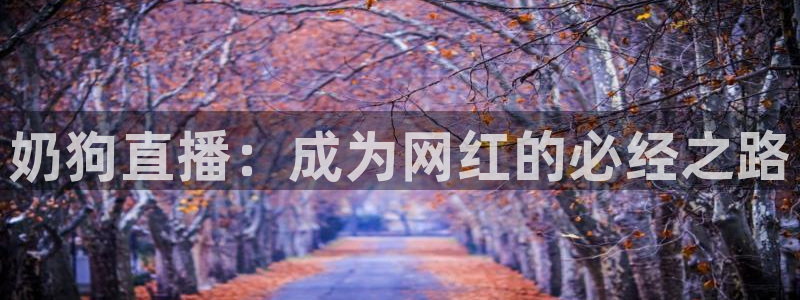 nba88看球直播在线观看：奶狗直播：成为网红的必经之路