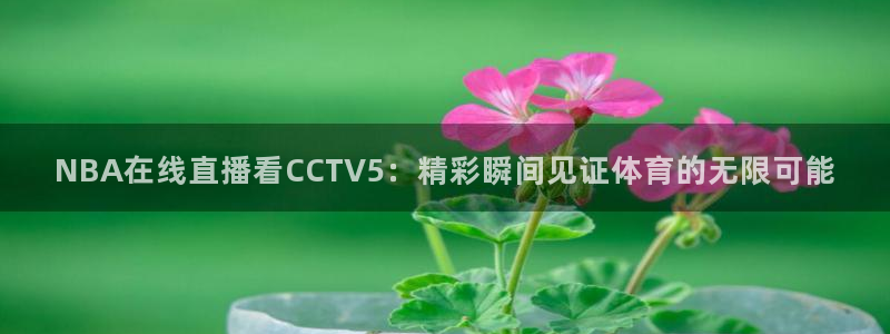 88看球体育直播：NBA在线直播看CCTV5：精彩瞬间见证体育的无限可能