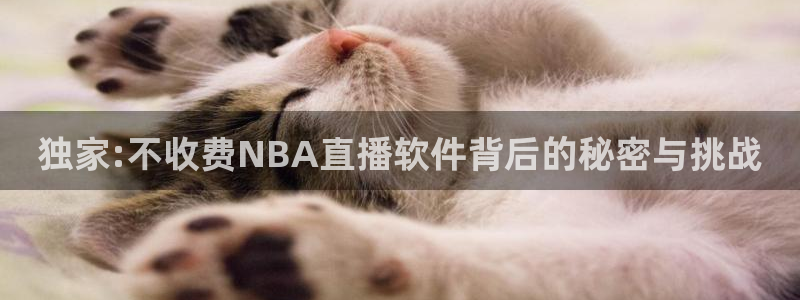 88看球网nba在线直播观看：独家:不收费NBA直播软件背后的秘密与挑战