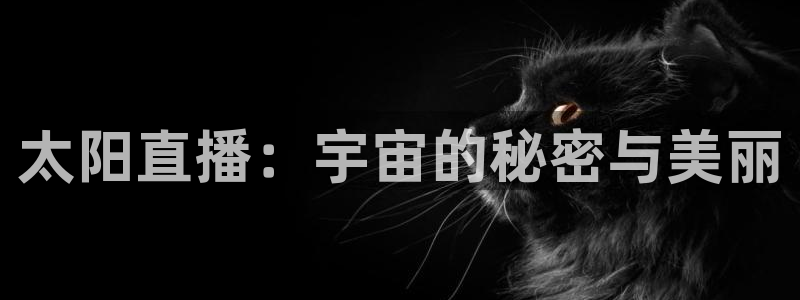 88看球直播体育：太阳直播：宇宙的秘密与美丽